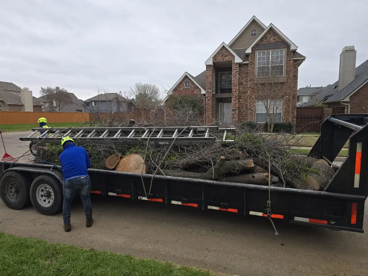 Expert Lot Clearing with proper safety equipment in Lakeland
